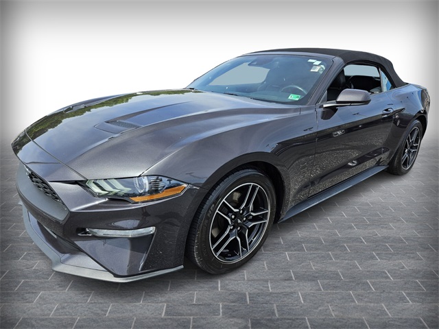 2023 Ford Mustang EcoBoost Premium photo 3