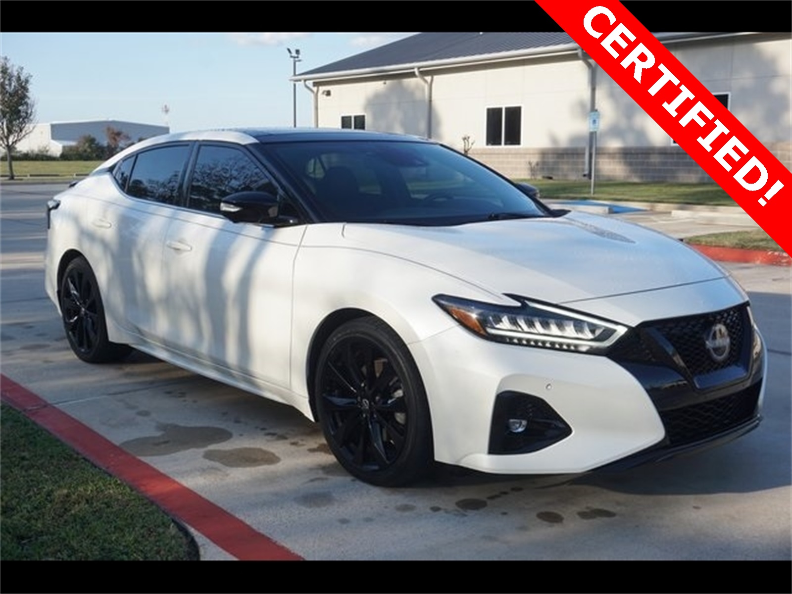 2023 Nissan Maxima SR's photo