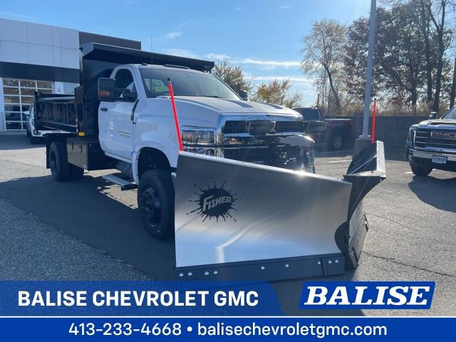 2024 Chevrolet Silverado 4500 Medium Duty Chassis Cab Work Truck's photo