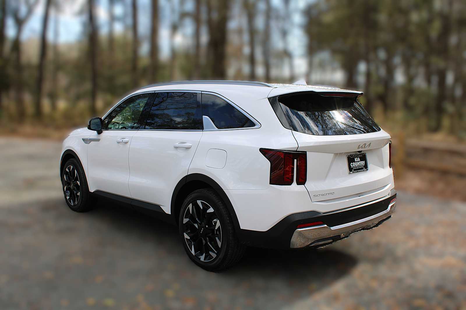 2025 Kia Sorento EX photo 6