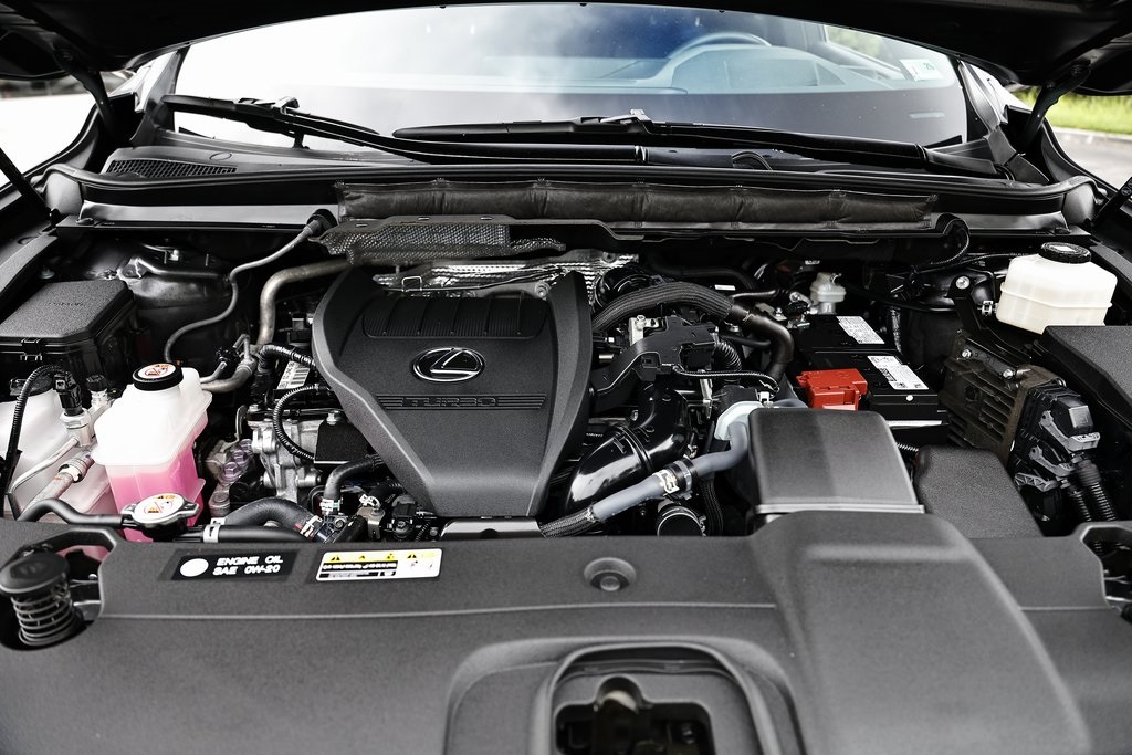 2024 Lexus RX 350 Premium photo 31
