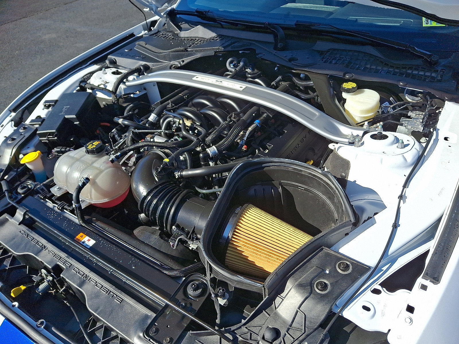 2016 Ford Mustang Shelby GT350 photo 29