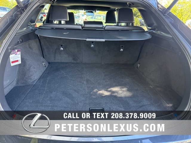 2024 Lexus RX 350h Premium photo 19