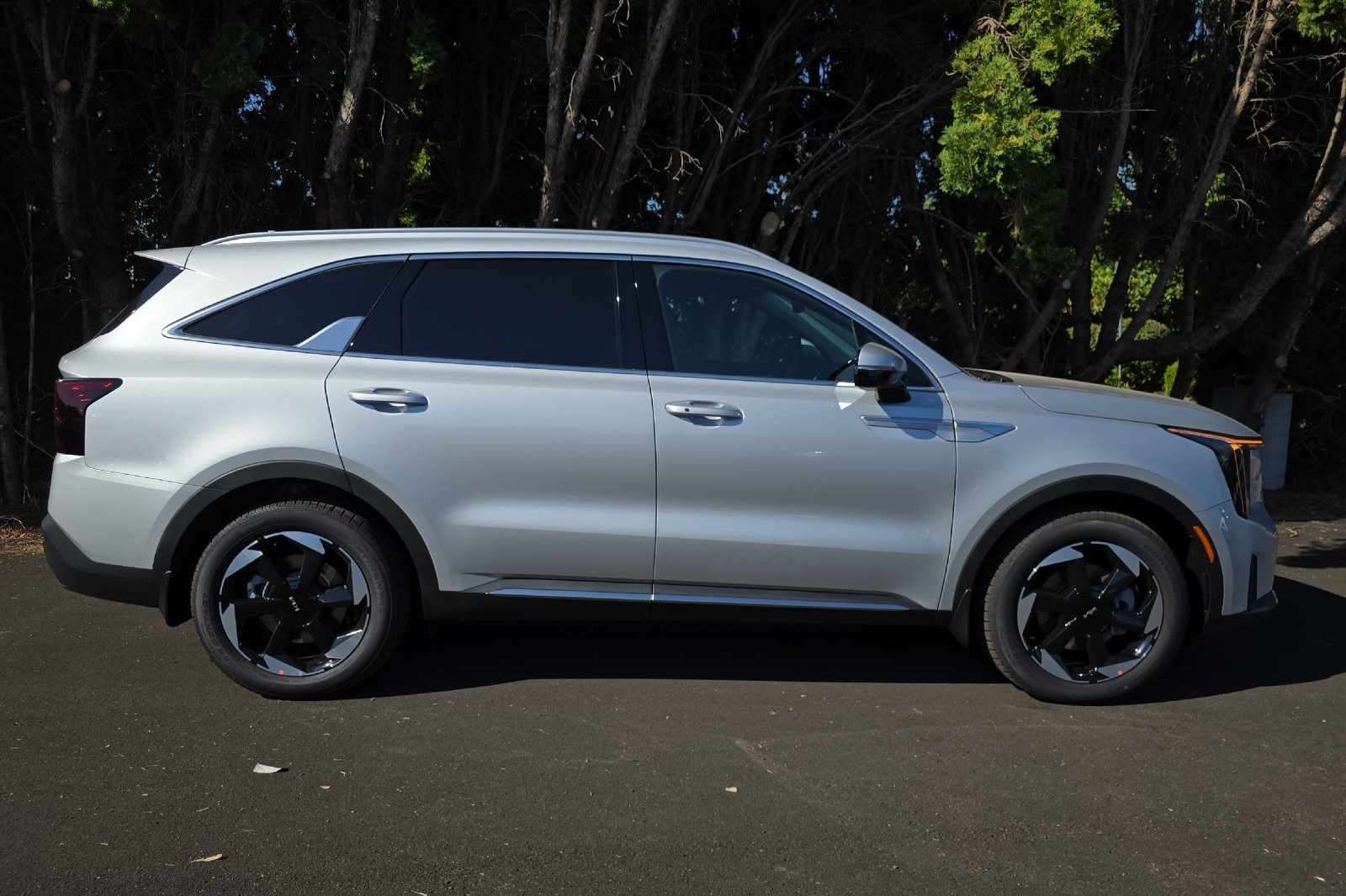 2025 Kia Sorento Hybrid EX photo 2