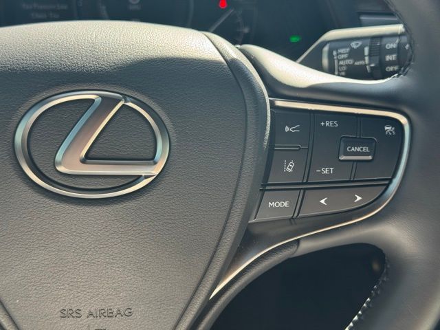 2024 Lexus UX 250h F SPORT Design photo 27