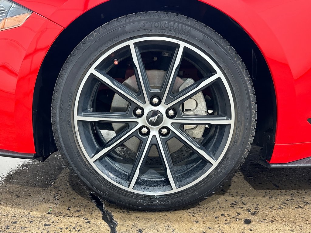 2020 Ford Mustang EcoBoost Premium photo 4