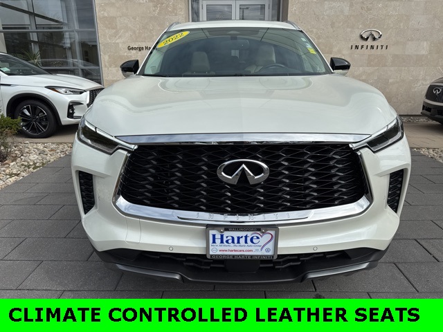 2022 Infiniti QX60 Luxe photo 2