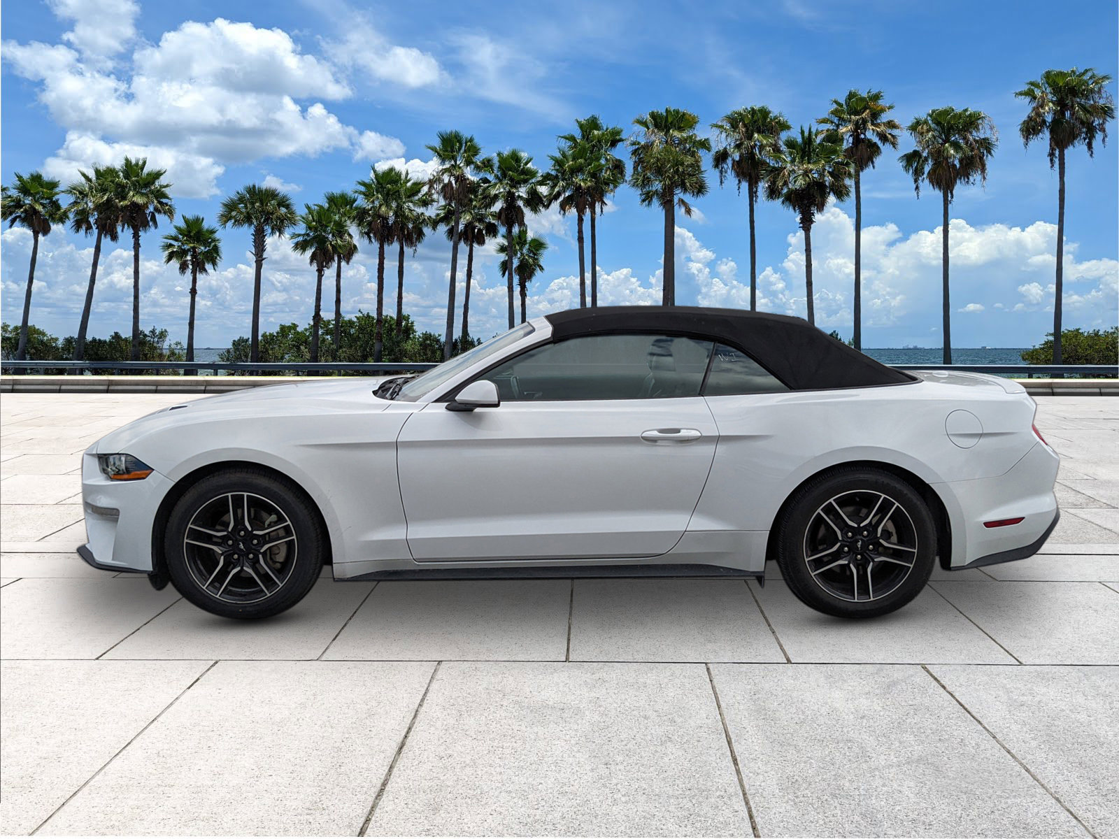 2023 Ford Mustang EcoBoost Premium photo 6
