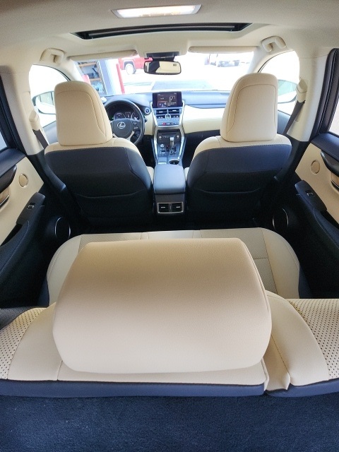2021 Lexus NX 300h Premium photo 12
