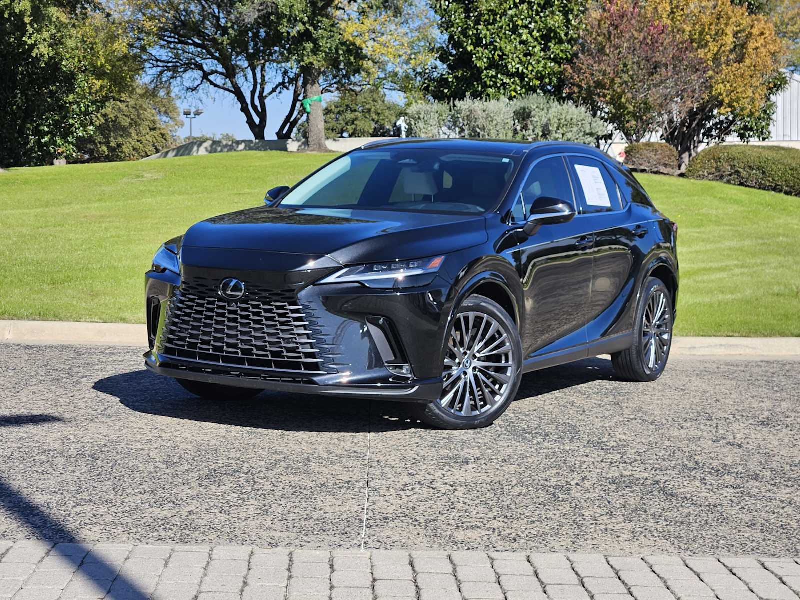 2023 Lexus RX Hybrid 350h's photo