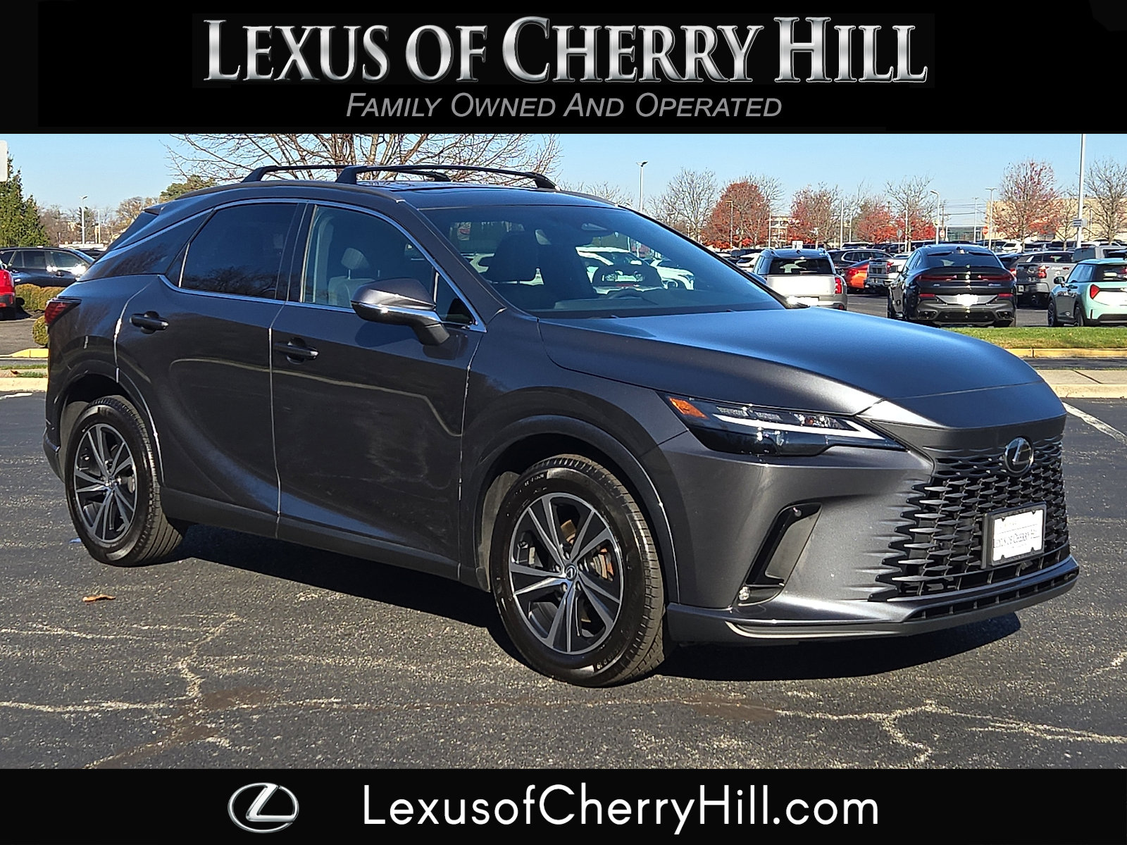 2024 Lexus RX 350's photo