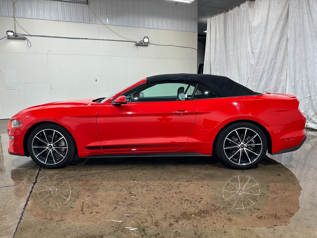 2020 Ford Mustang EcoBoost Premium photo 8
