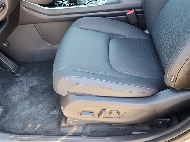 2026 Kia Carnival SX Prestige photo 10