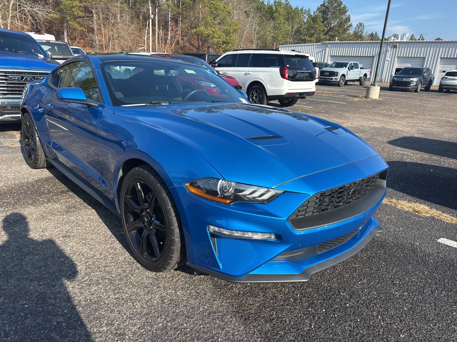 2020 Ford Mustang EcoBoost's photo
