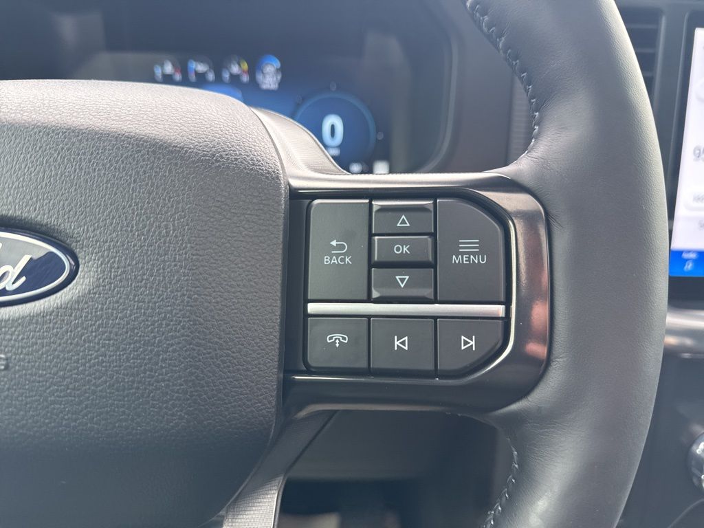 2025 Ford F-150 Platinum photo 28