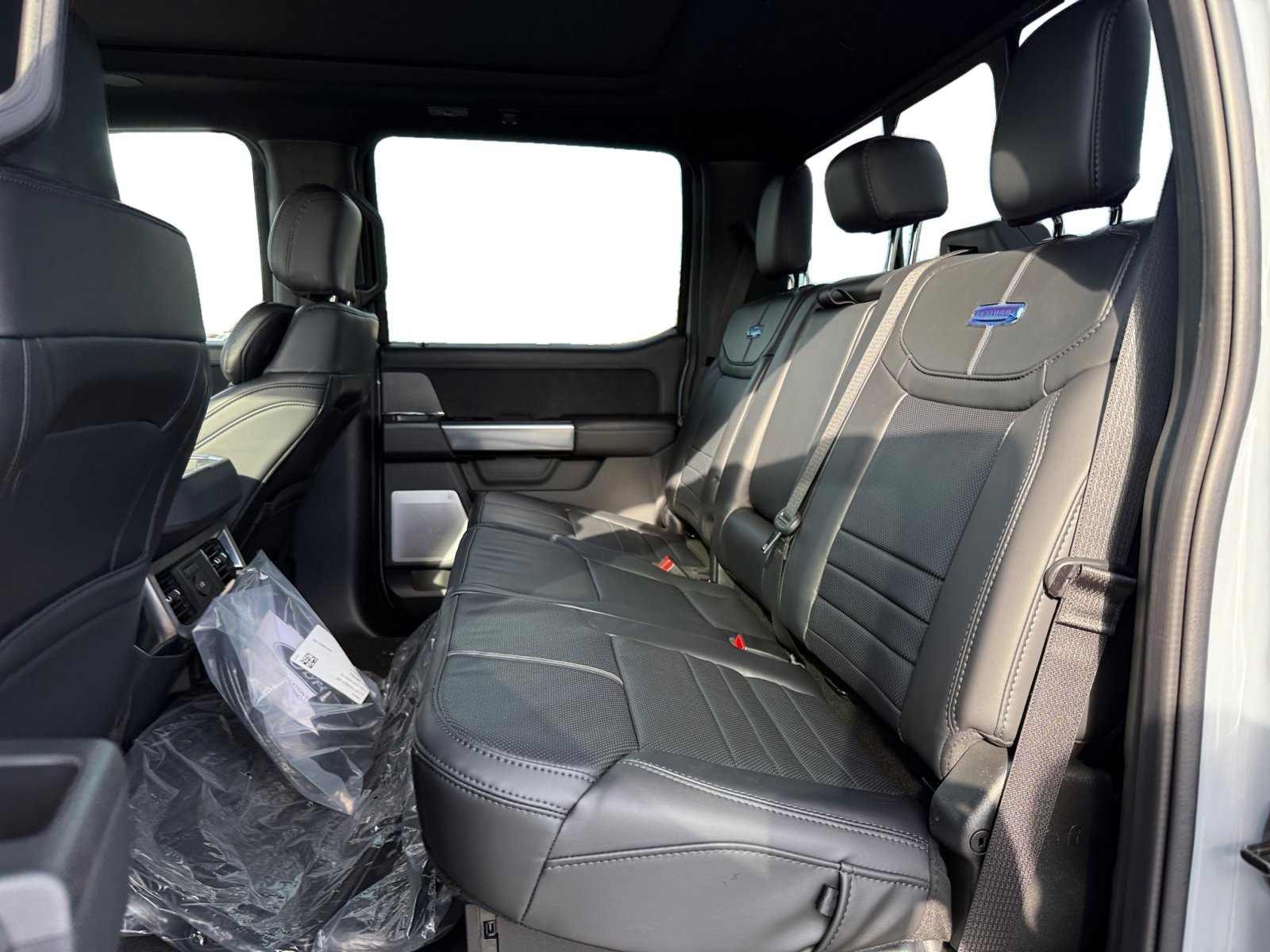 2025 Ford F-250 Platinum photo 16