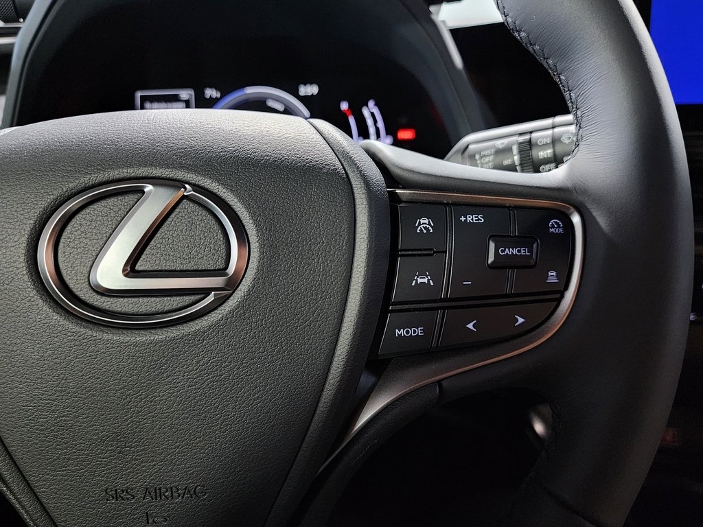 2025 Lexus UX photo 15