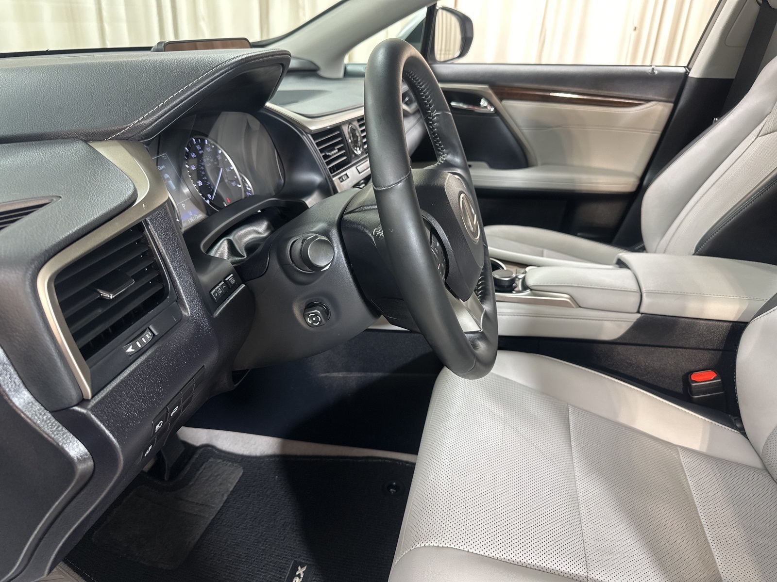 2019 Lexus RX 350 photo 9
