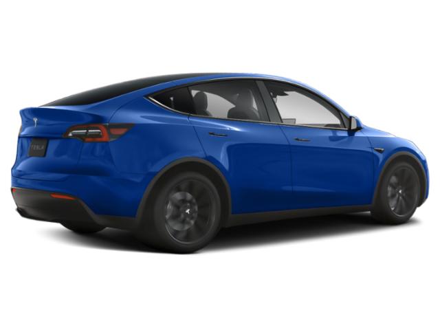 Used 2022 Tesla Model Y Performance with VIN 7SAYGDEF6NF541844 for sale in Northfield, Minnesota