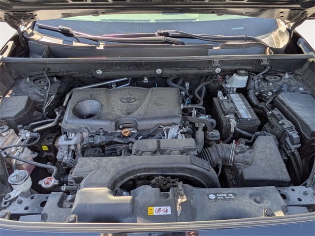 2019 Toyota RAV4 XLE photo 30