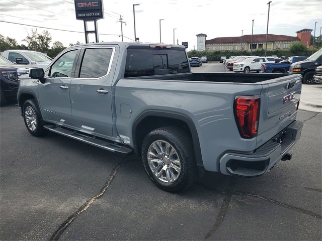 2025 Gmc Sierra 1500 Denali photo 3