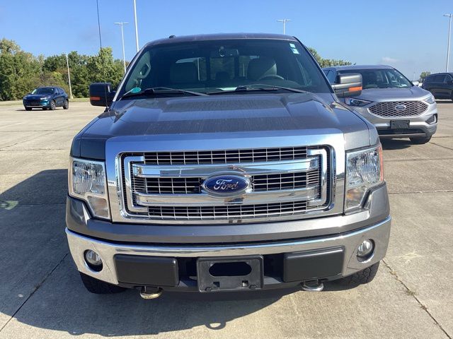 2013 Ford F-150 XLT photo 3