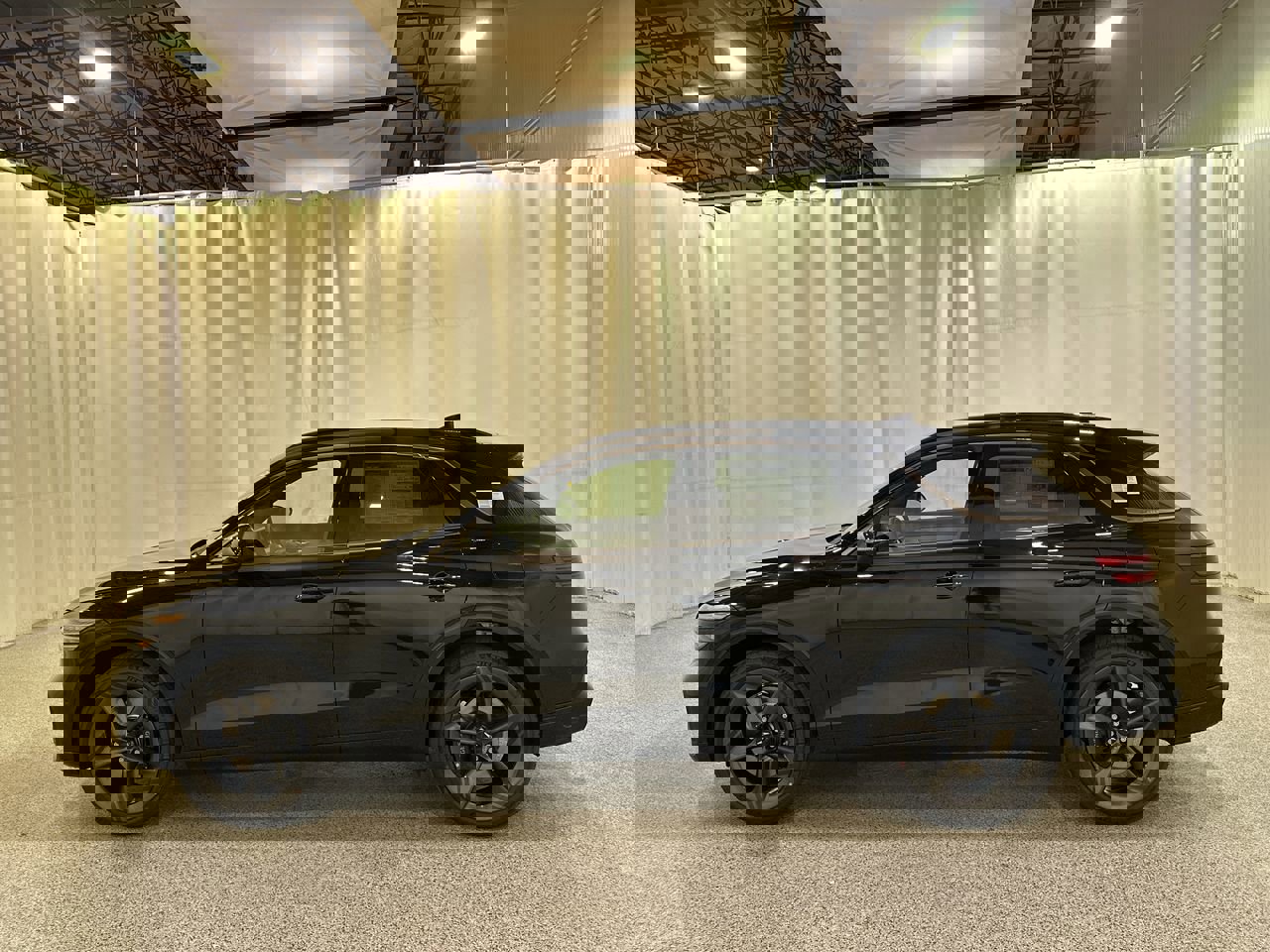 New 2026 Vik Black Genesis 3.5T Sport Prestige image 6