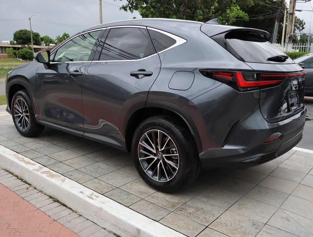 2025 Lexus NX 250 Premium photo 7