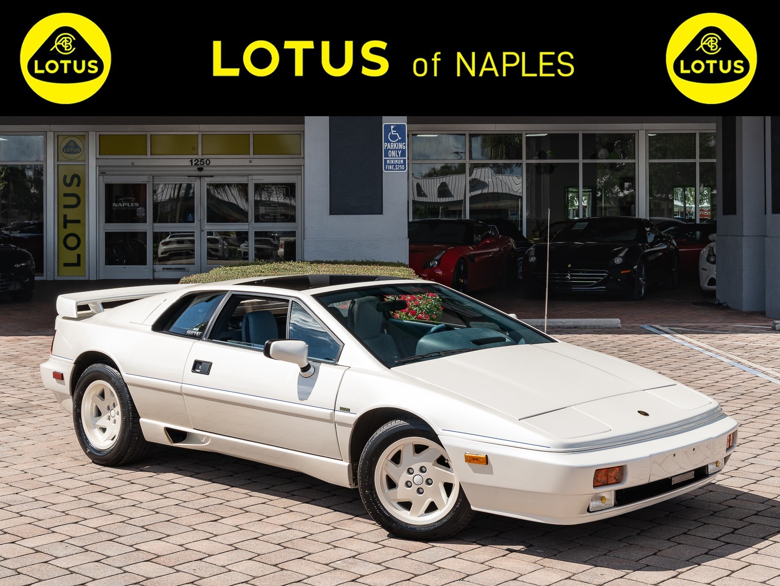 1988 Lotus Esprit's photo