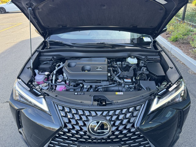 2025 Lexus UX Premium photo 7