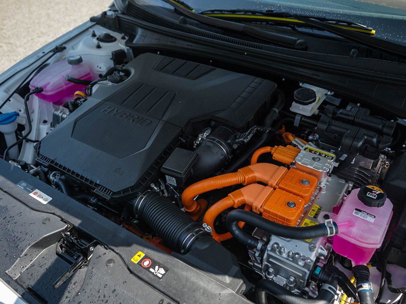 2025 Hyundai Elantra Hybrid SEL Sport photo 6