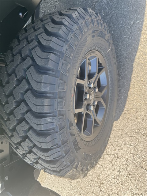 2025 Jeep Wrangler Willys photo 10