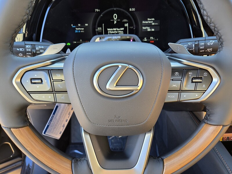 2025 Lexus RX 350h Premium photo 13