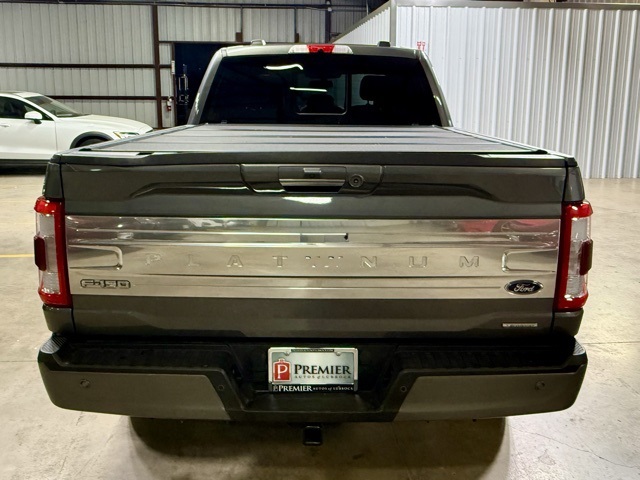 2022 Ford F-150 Platinum photo 5