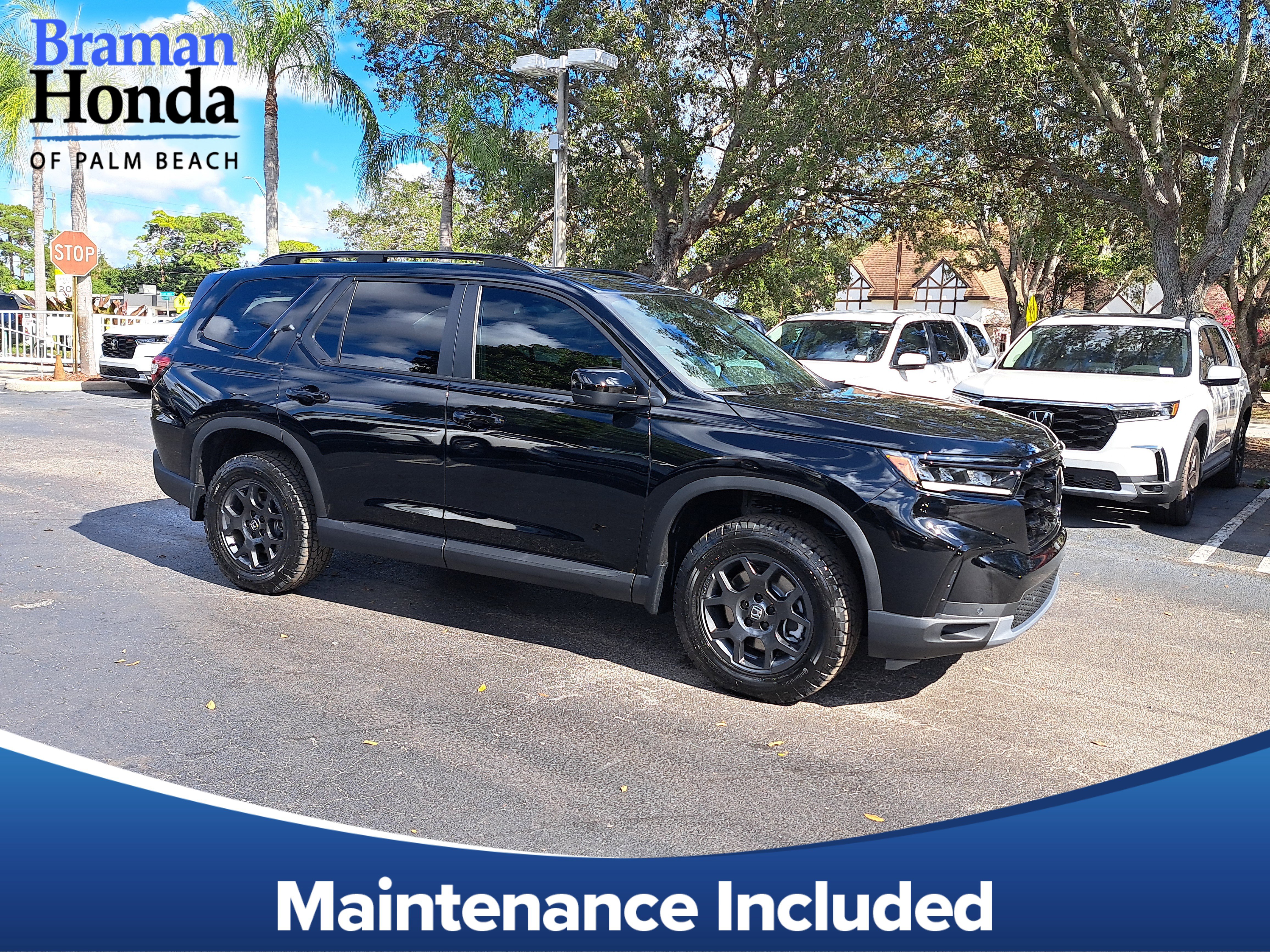 2025 Honda Pilot TrailSport's photo