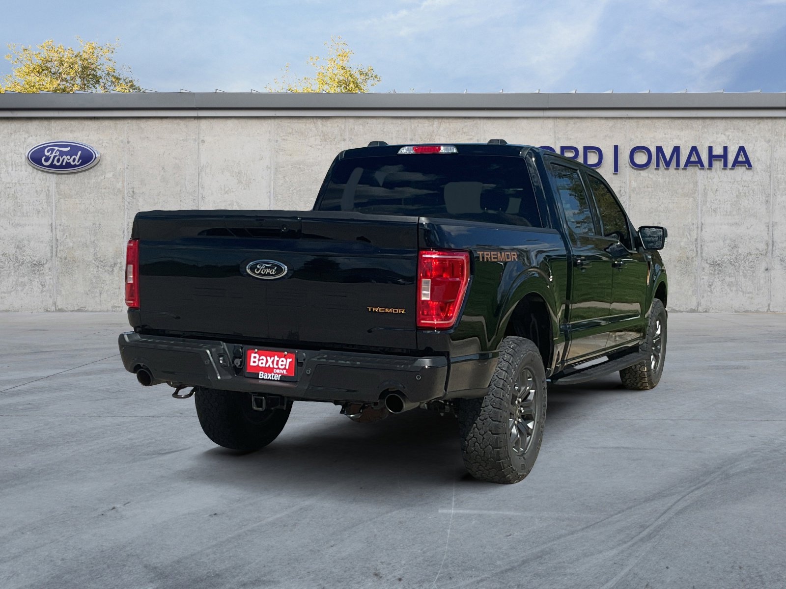 2021 Ford F-150 Tremor photo 7