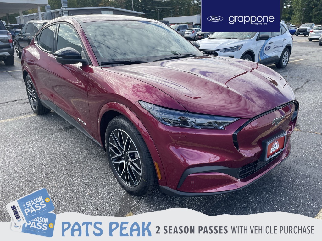 2025 Ford Mustang Mach-E Premium AWD's photo