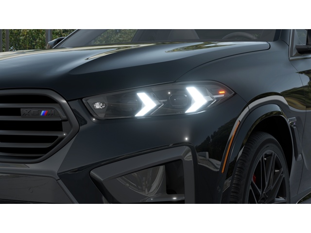2026 Bmw X6 photo 6
