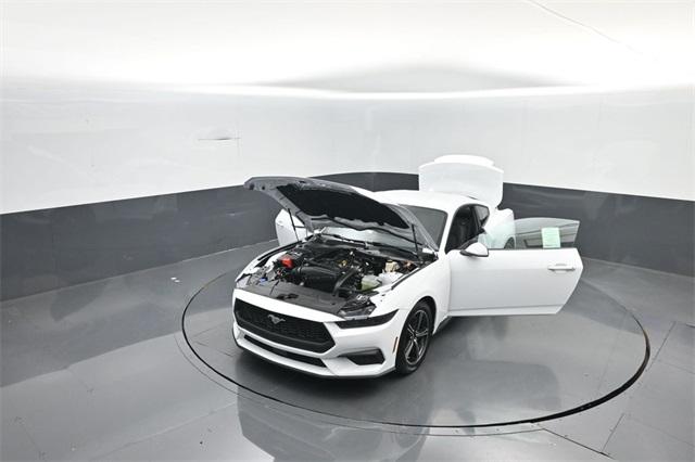 2025 Ford Mustang EcoBoost photo 33