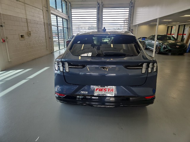 Used 2021 BLUE Ford Premium image 5