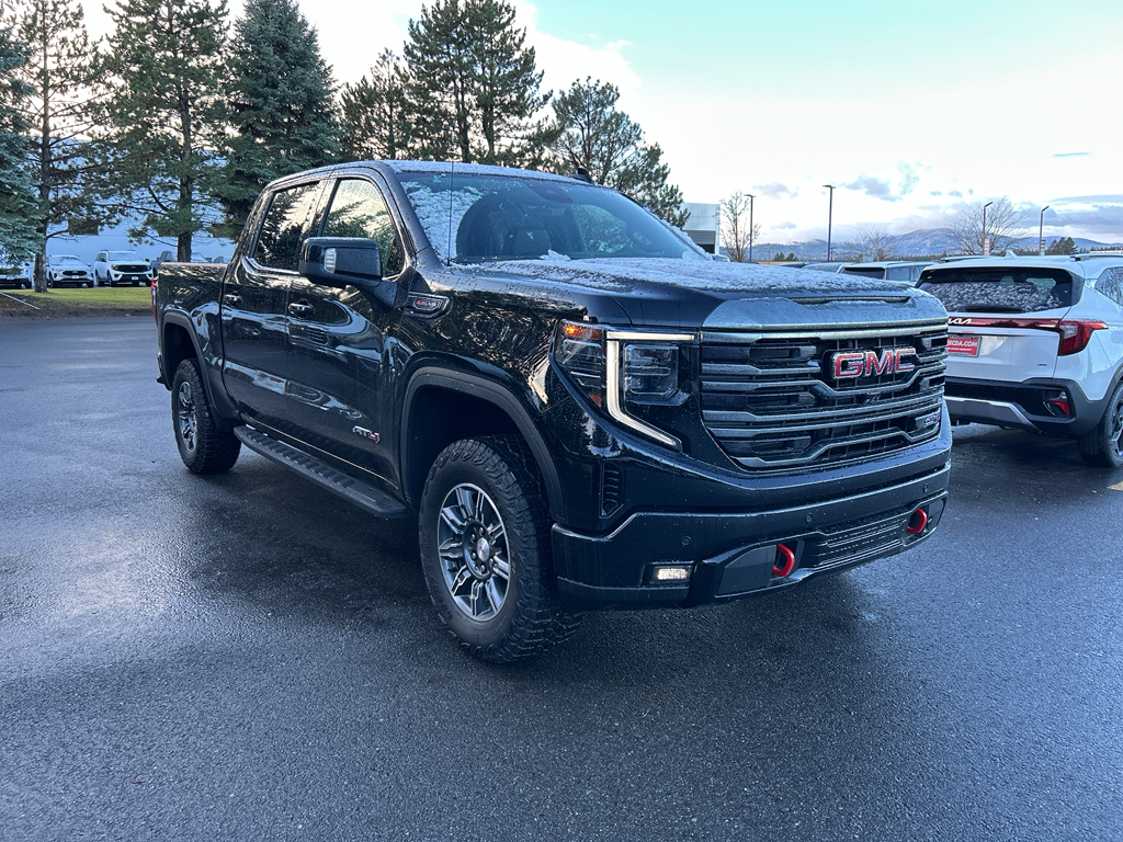 2024 Gmc Sierra 1500 AT4 photo 3