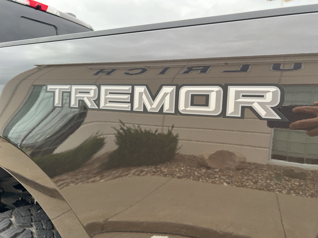 2025 Ford F-350 King Ranch photo 14