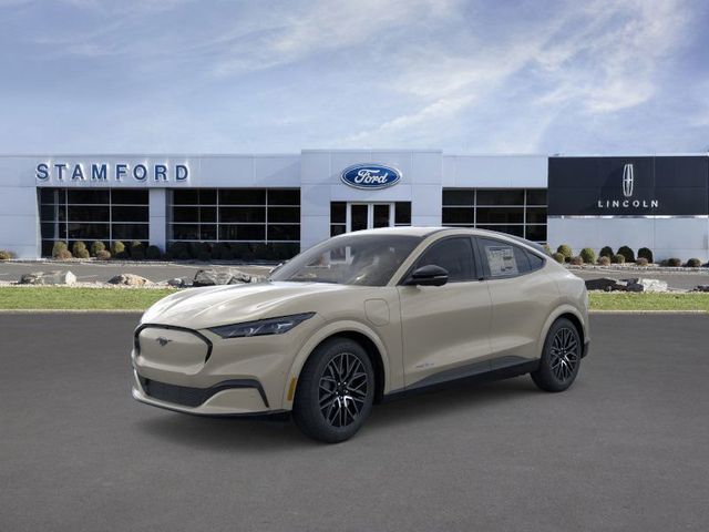 2025 Ford Mustang Mach-E Premium AWD's photo
