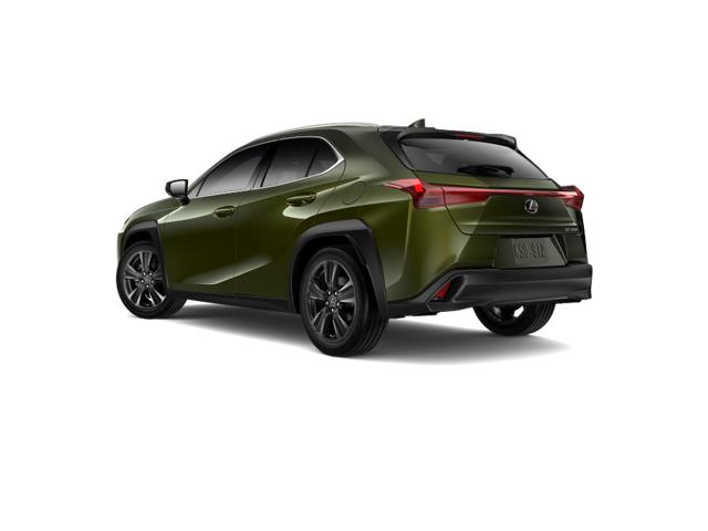 2025 Lexus UX photo 3