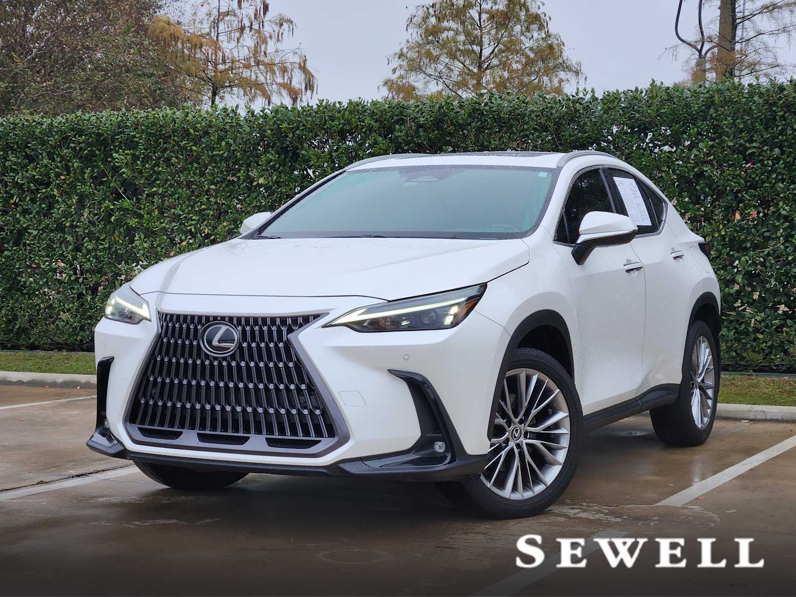 2022 Lexus NX 350