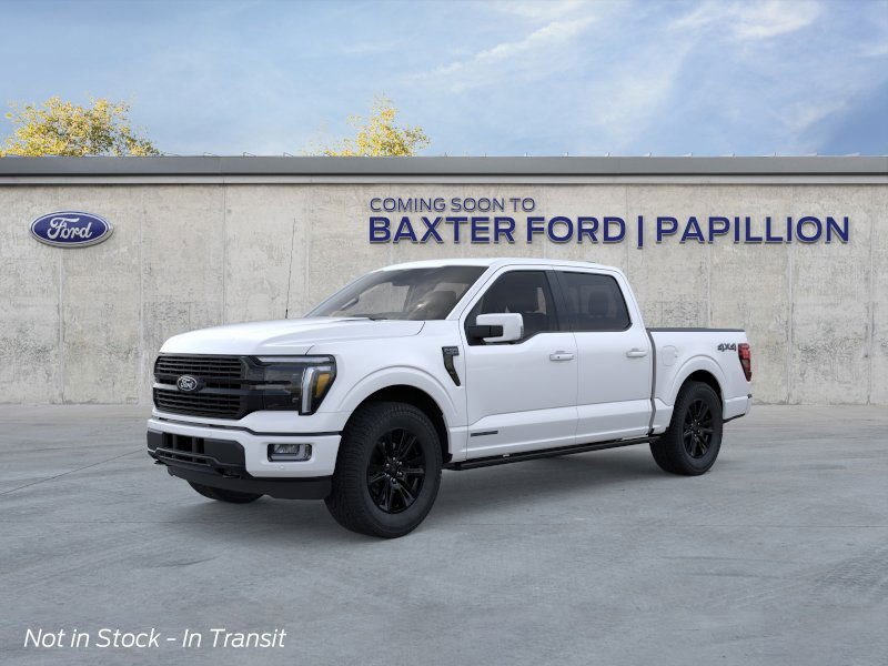 2025 Ford F-150 Platinum photo 13