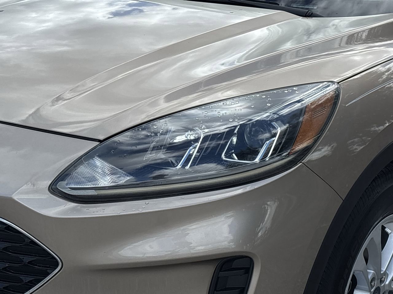 2020 Ford Escape SE Sport photo 5