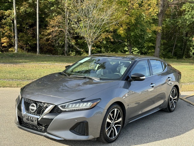 2023 Nissan Maxima SL's photo