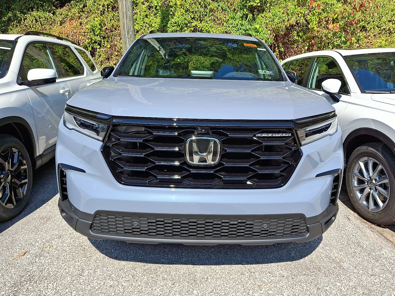 2025 Honda Pilot Black Edition photo 2