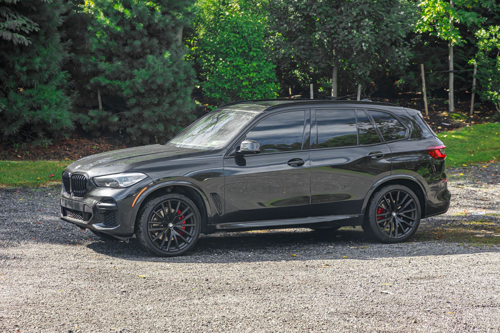 2022 Bmw X5 sDrive40i photo 2